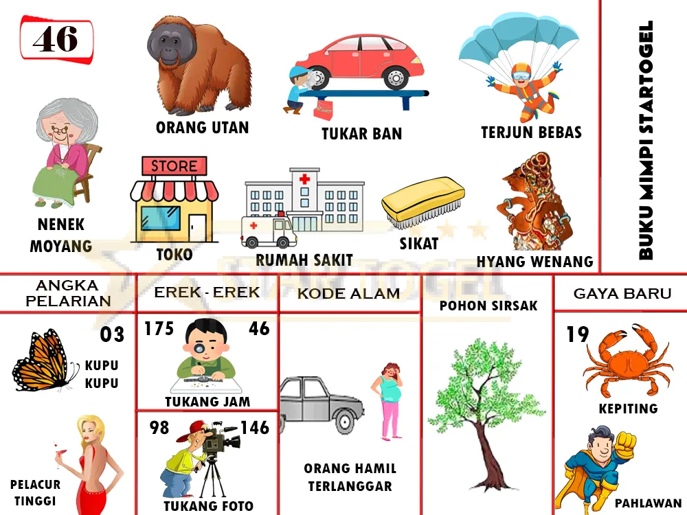 buku mimpi erek erek togel 46
